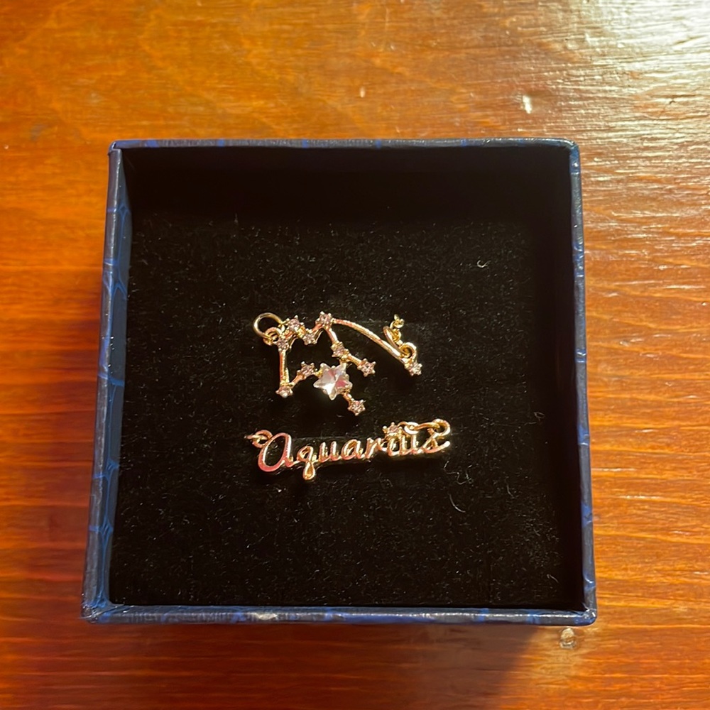 Aquarius necklace